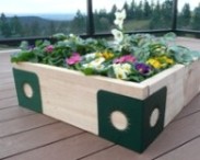 [flower bed]